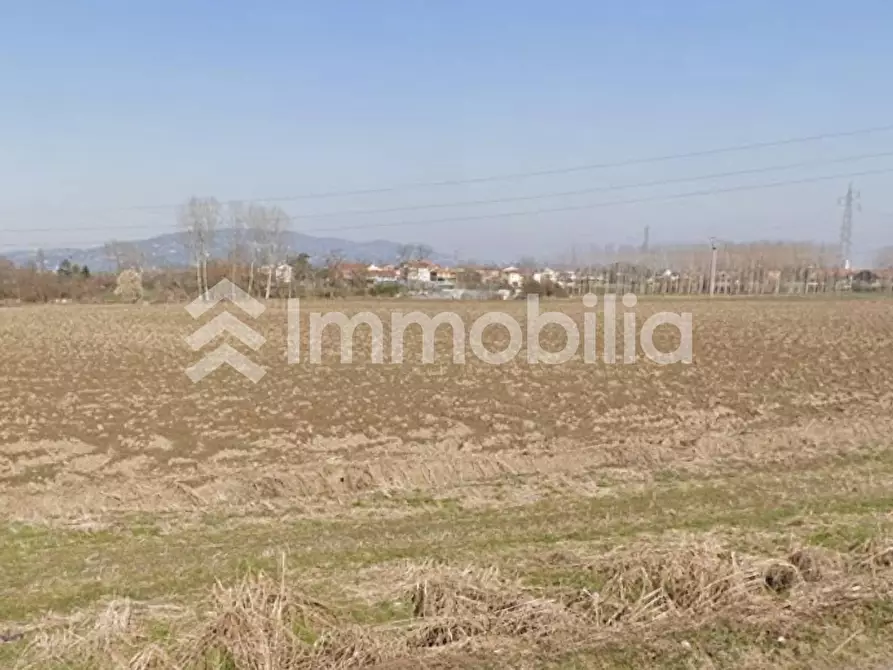 Immagine 4 di Terreno agricolo in vendita  in Frazione Orelle snc a Vinovo