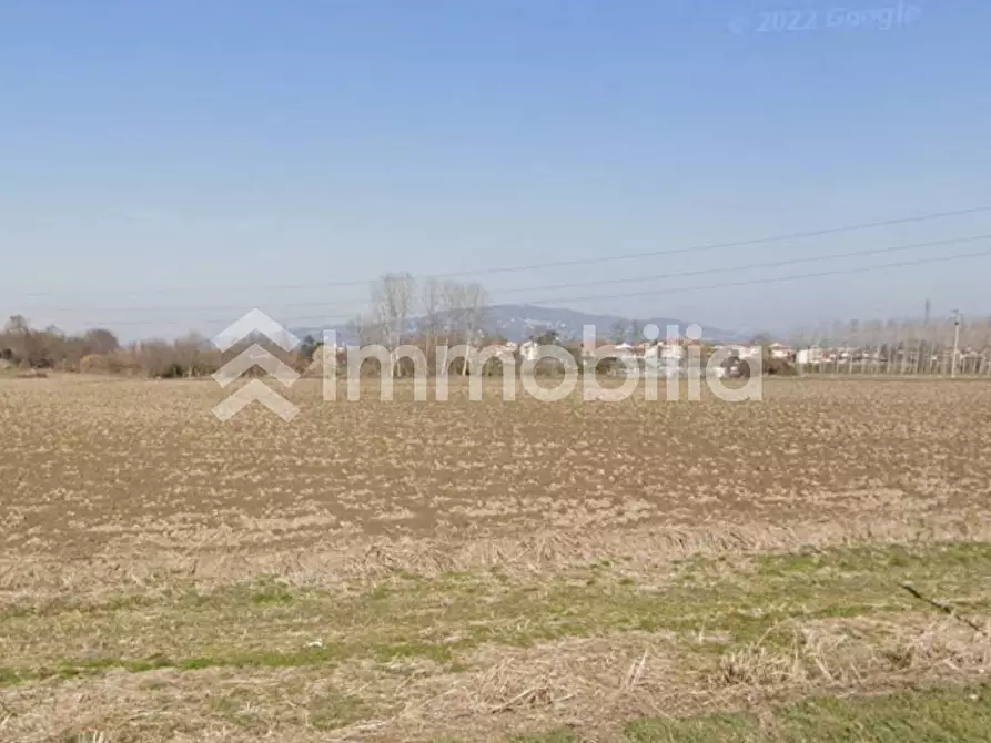 Immagine 5 di Terreno agricolo in vendita  in Frazione Orelle snc a Vinovo