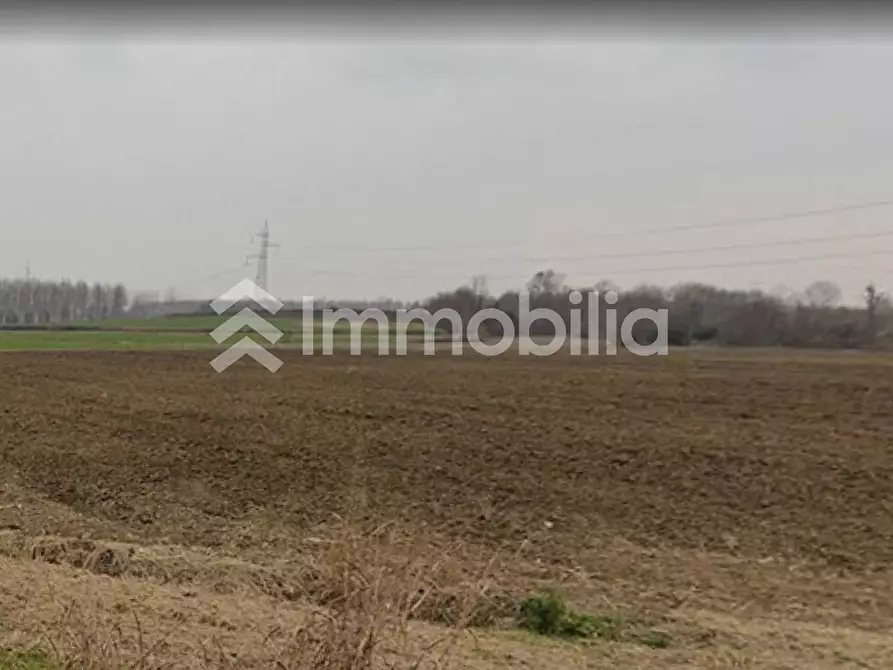 Immagine 7 di Terreno agricolo in vendita  in Frazione Orelle snc a Vinovo