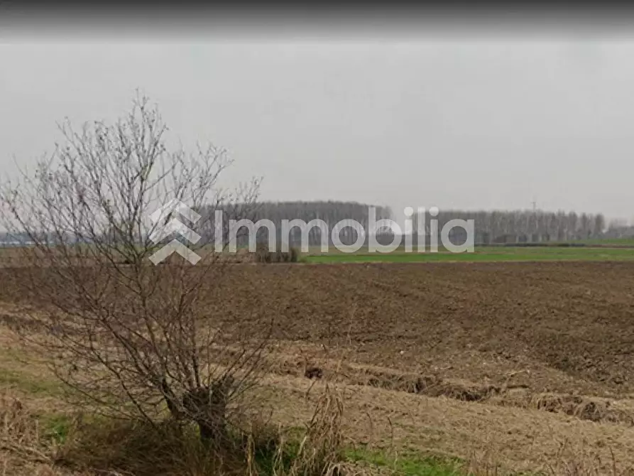 Immagine 8 di Terreno agricolo in vendita  in Frazione Orelle snc a Vinovo