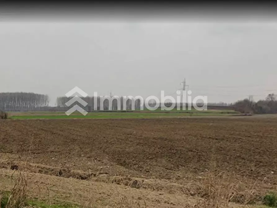Immagine 9 di Terreno agricolo in vendita  in Frazione Orelle snc a Vinovo