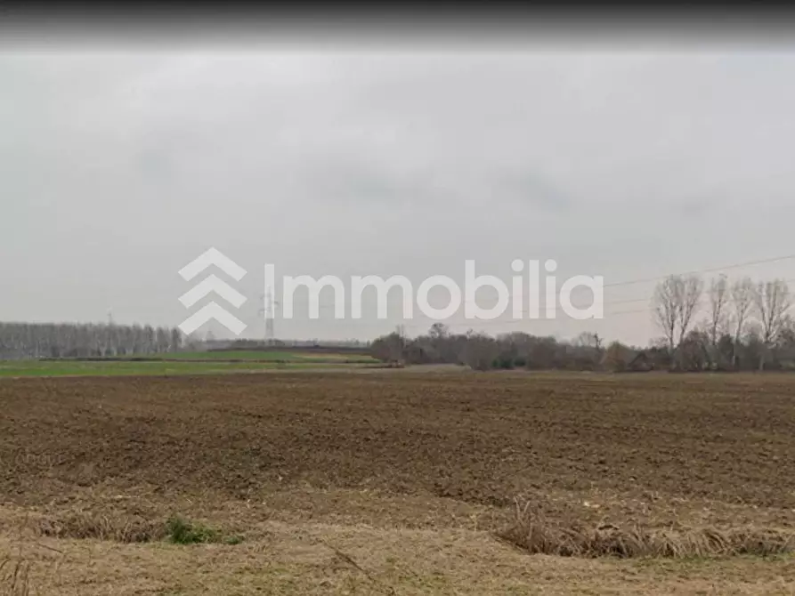Immagine 10 di Terreno agricolo in vendita  in Frazione Orelle snc a Vinovo