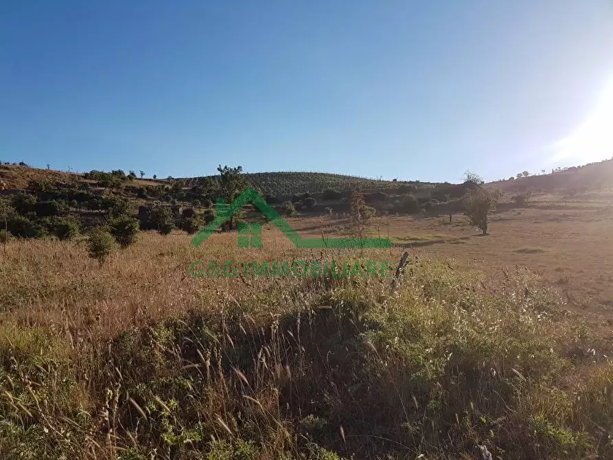 Immagine 2 di Terreno residenziale in vendita  in Contrada Difesa a Bronte