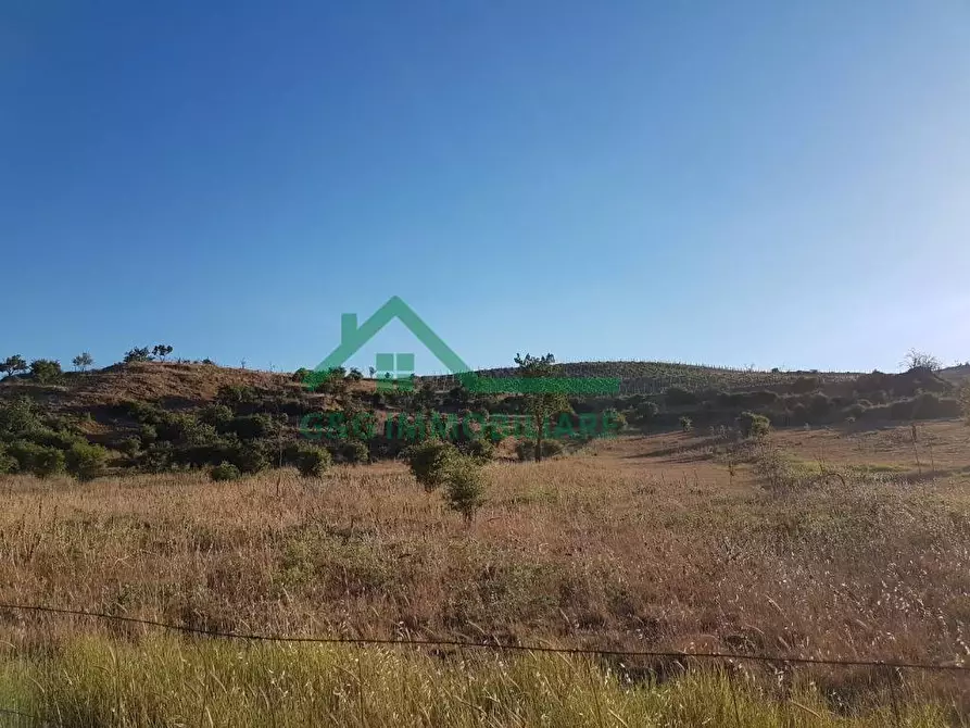 Immagine 3 di Terreno residenziale in vendita  in Contrada Difesa a Bronte