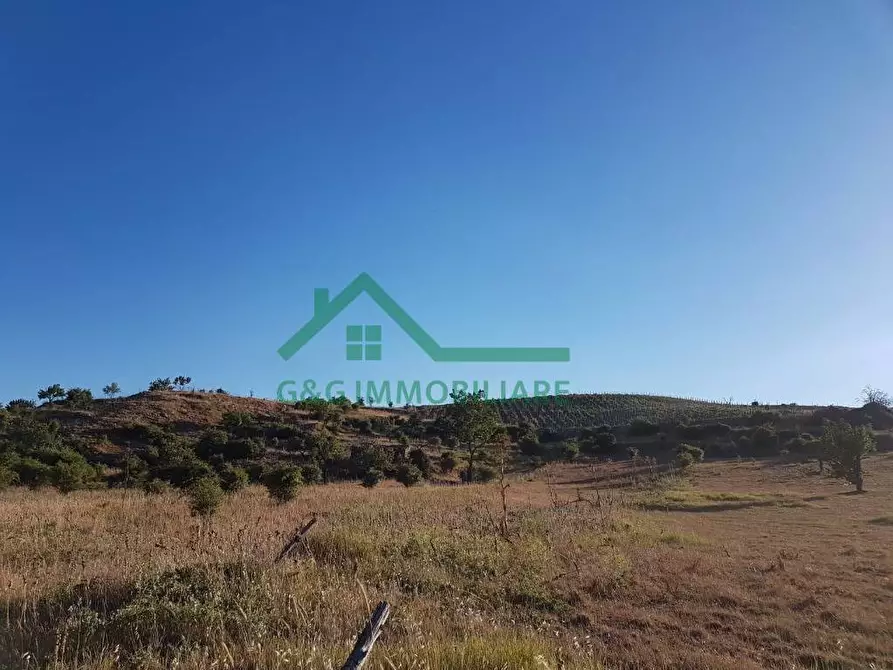 Immagine 6 di Terreno residenziale in vendita  in Contrada Difesa a Bronte