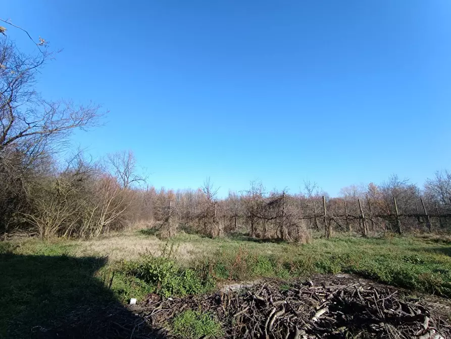 Immagine 11 di Rustico / casale in vendita  in via casali 30 a Formigine