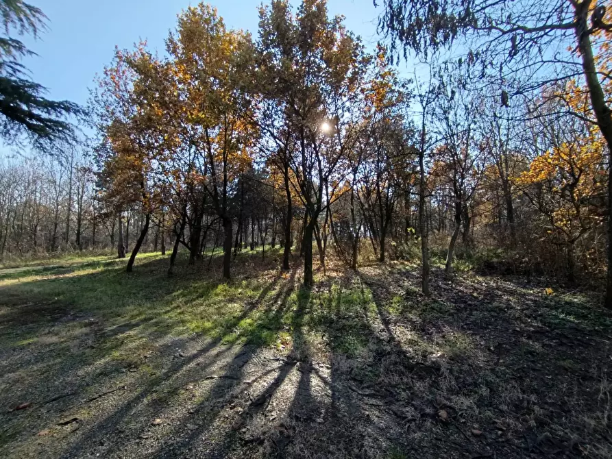 Immagine 24 di Rustico / casale in vendita  in via casali 30 a Formigine