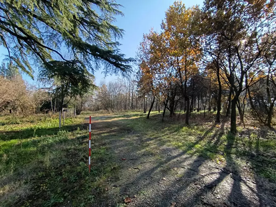 Immagine 25 di Rustico / casale in vendita  in via casali 30 a Formigine