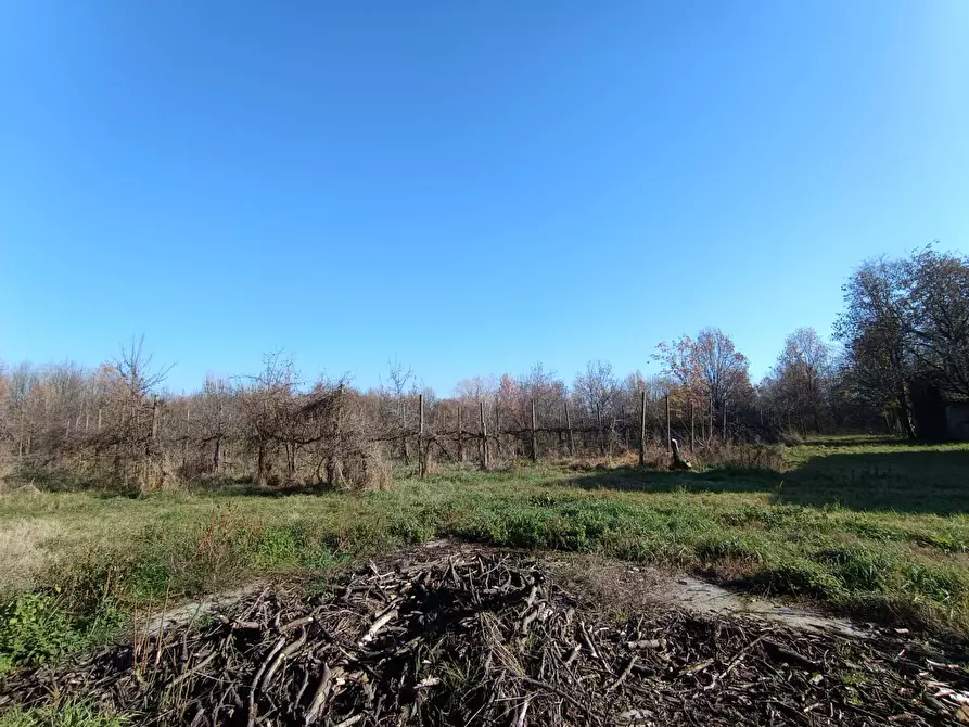 Immagine 27 di Rustico / casale in vendita  in via casali 30 a Formigine