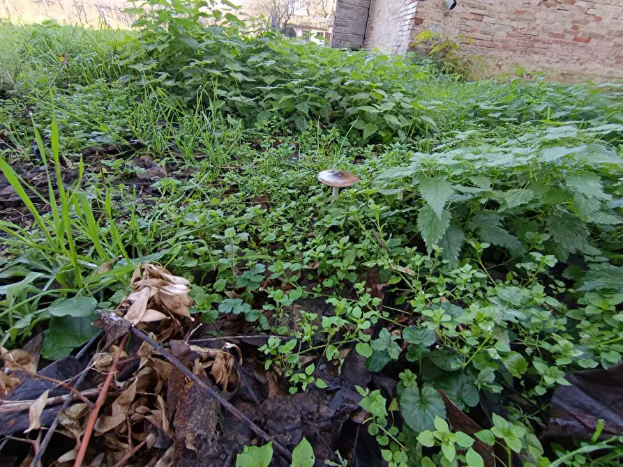 Immagine 34 di Rustico / casale in vendita  in via casali 30 a Formigine