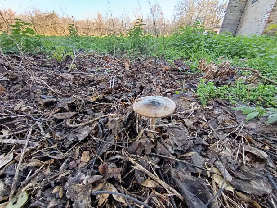 Immagine 35 di Rustico / casale in vendita  in via casali 30 a Formigine