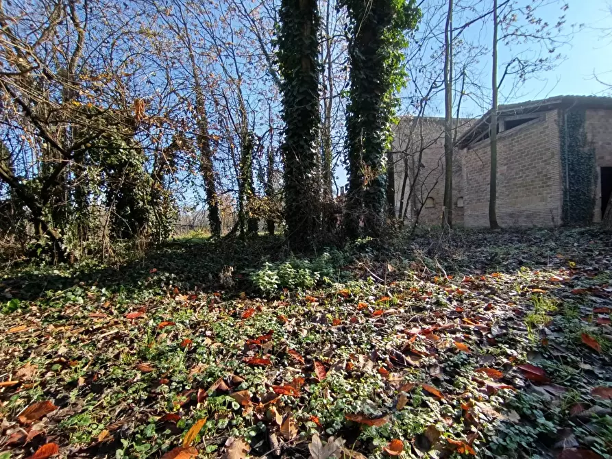 Immagine 39 di Rustico / casale in vendita  in via casali 30 a Formigine