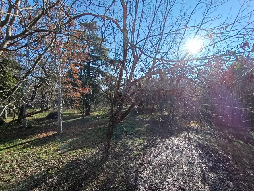 Immagine 48 di Rustico / casale in vendita  in via casali 30 a Formigine