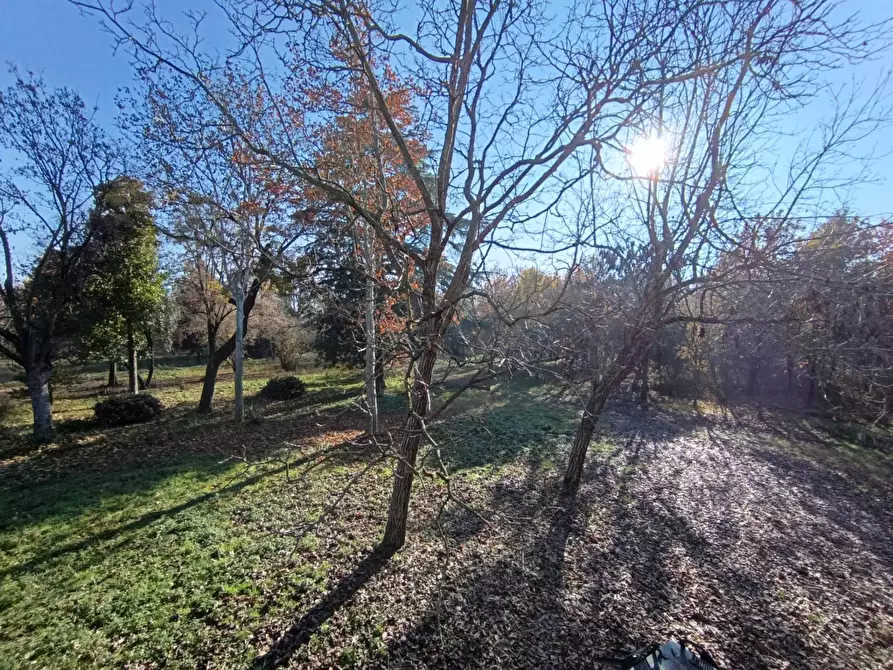 Immagine 49 di Rustico / casale in vendita  in via casali 30 a Formigine