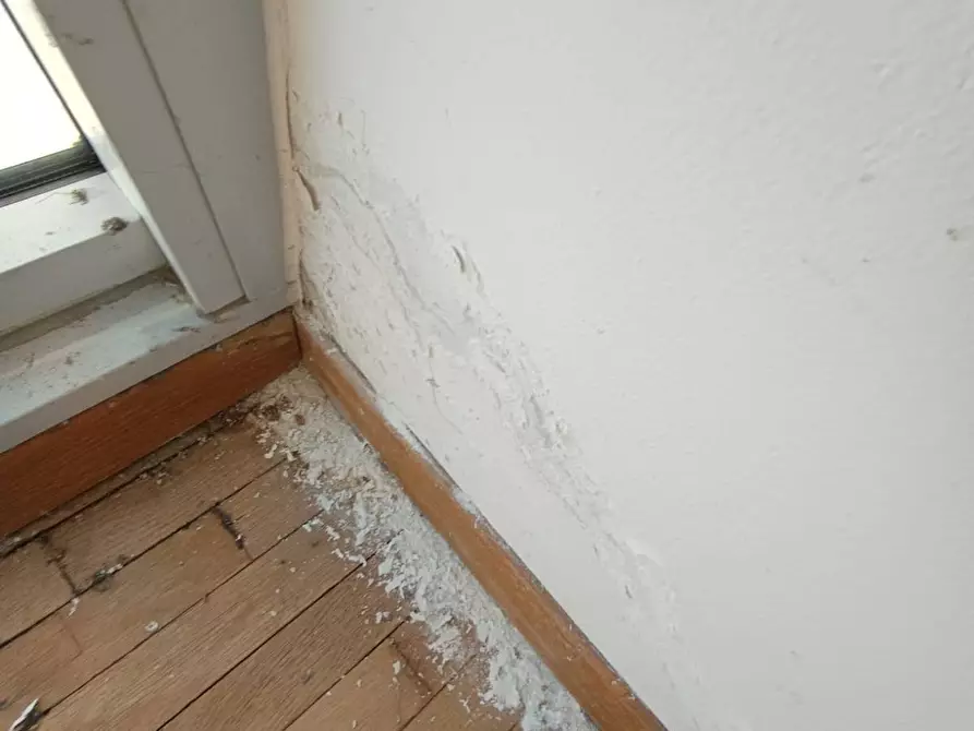 Immagine 22 di Ufficio in vendita  in Via Giuseppe Giacosa a Bologna