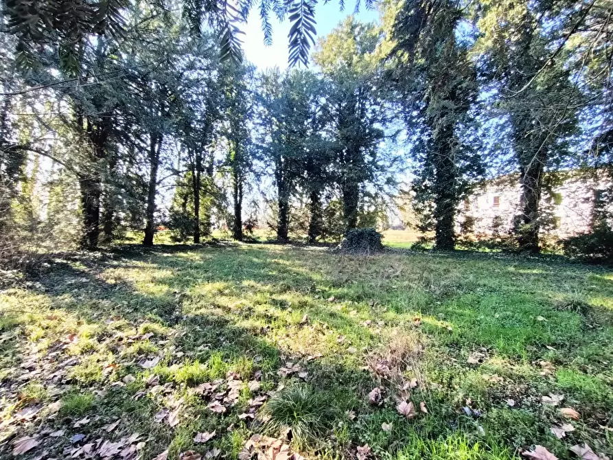 Immagine 8 di Palazzo in vendita  in via provanone 1873 a Crevalcore