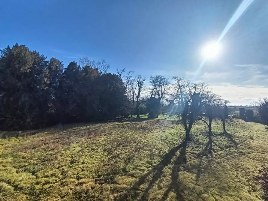 Immagine 45 di Palazzo in vendita  in via provanone 1873 a Crevalcore
