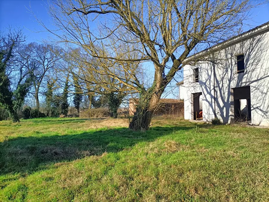 Immagine 69 di Palazzo in vendita  in via provanone 1873 a Crevalcore