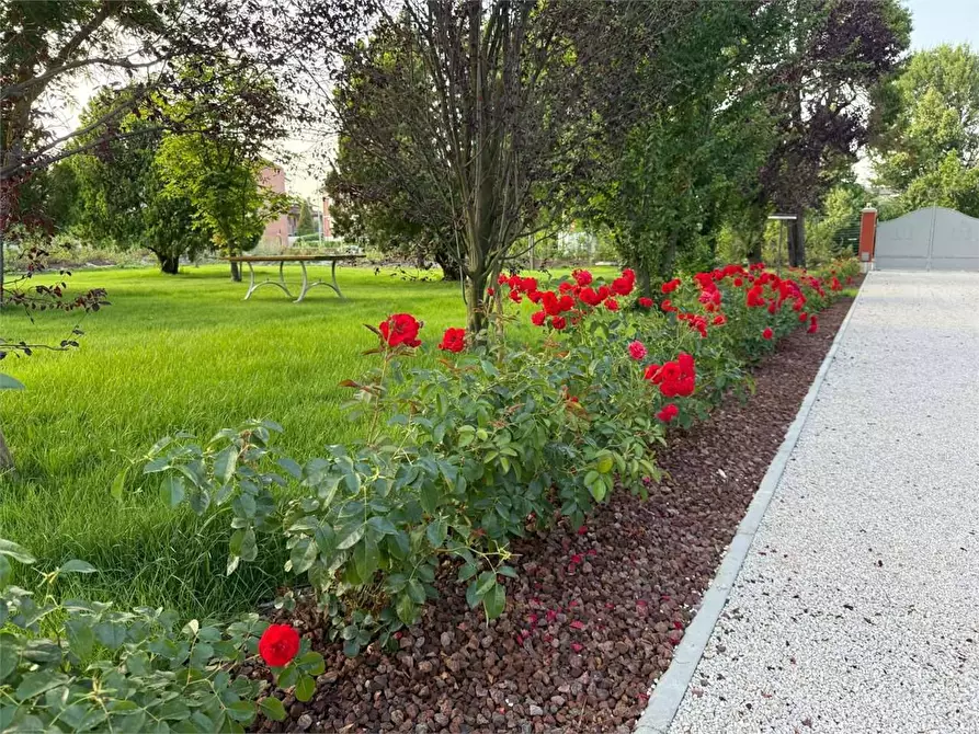 Immagine 45 di Appartamento in affitto  in Stradello Scartazzetta 59 a Modena