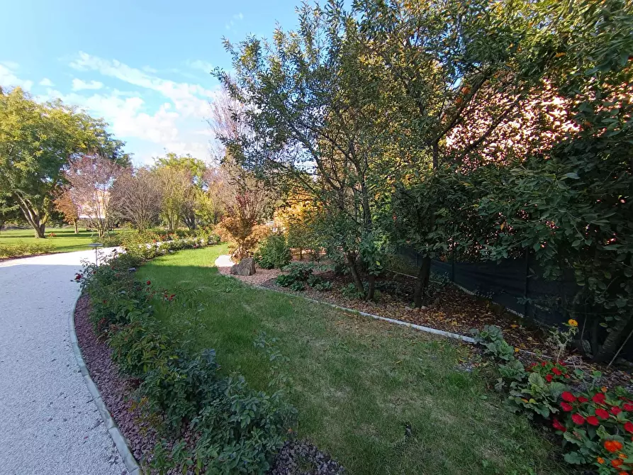 Immagine 54 di Appartamento in affitto  in Stradello Scartazzetta 59 a Modena