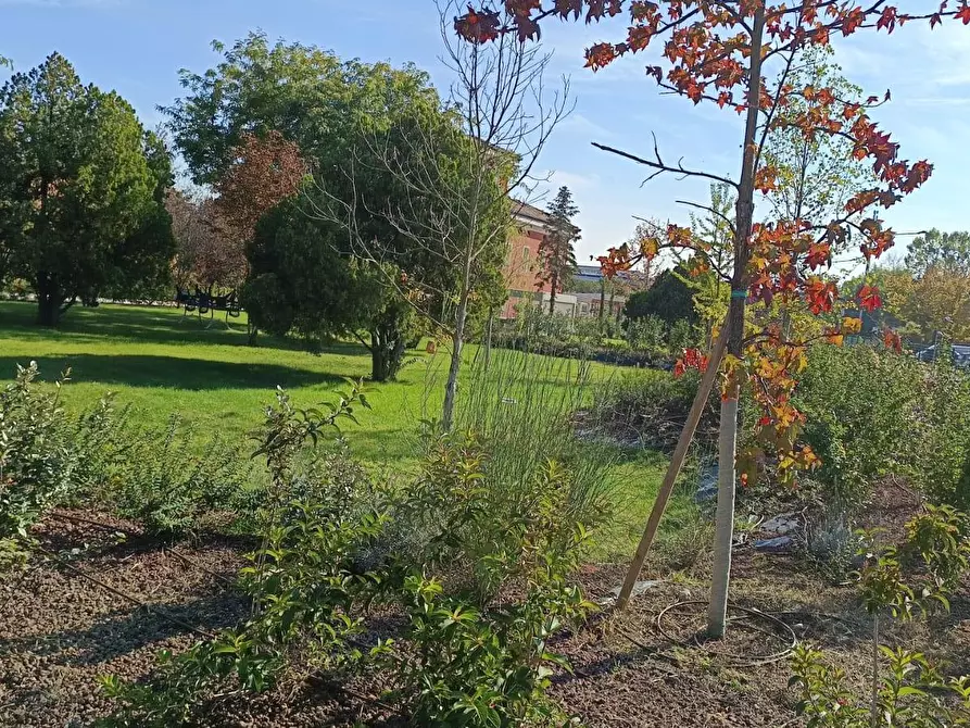 Immagine 58 di Appartamento in affitto  in Stradello Scartazzetta 59 a Modena