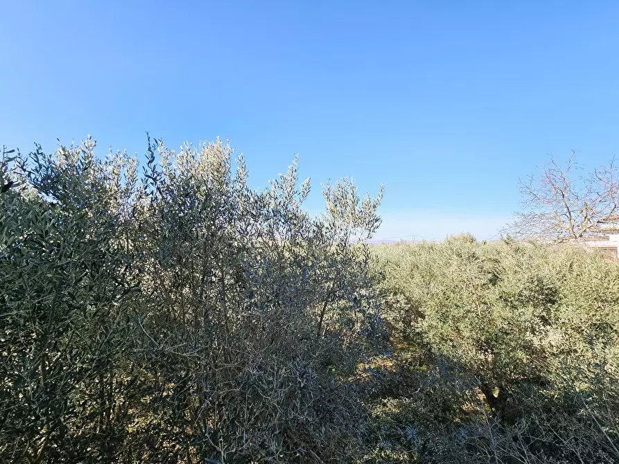 Immagine 26 di Villa in vendita  in Piccianello 14 a Brittoli