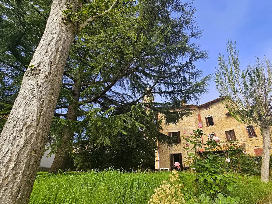 Immagine 14 di Casa indipendente in vendita  in Pietro Perugino a Perugia