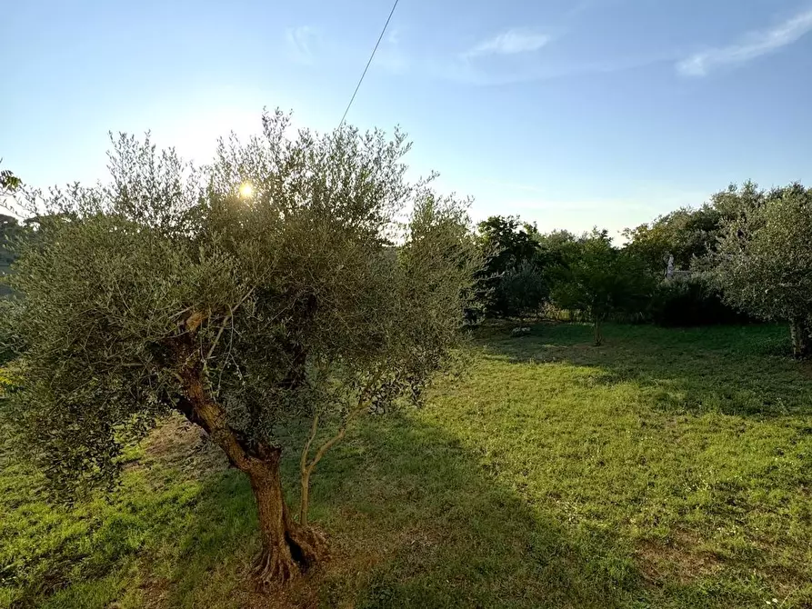 Immagine 18 di Casa semindipendente in vendita  in di Vallerano a Rignano Flaminio