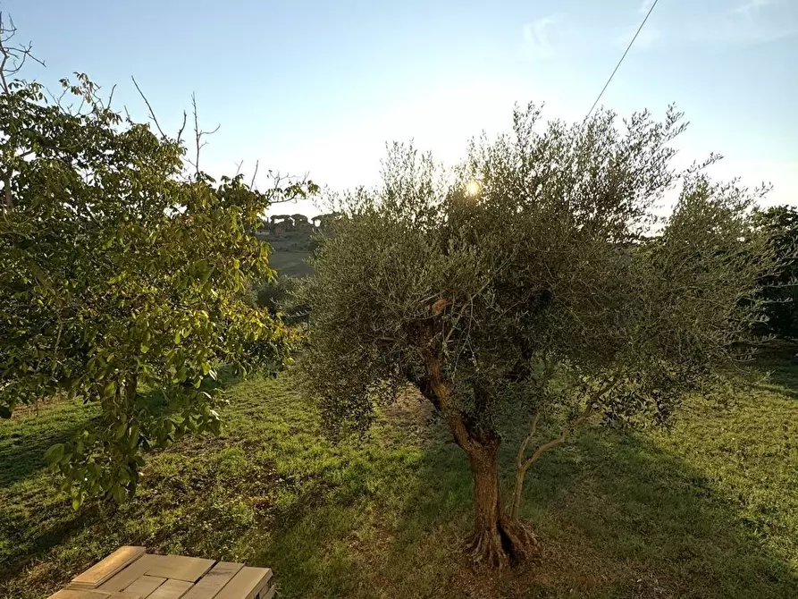 Immagine 19 di Casa semindipendente in vendita  in di Vallerano a Rignano Flaminio