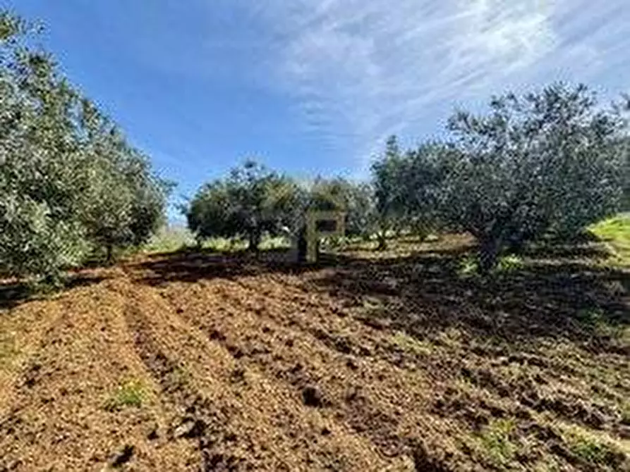 Immagine 21 di Rustico / casale in vendita  in Provinciale a Partinico