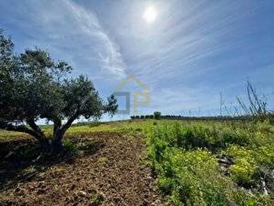 Immagine 22 di Rustico / casale in vendita  in Provinciale a Partinico