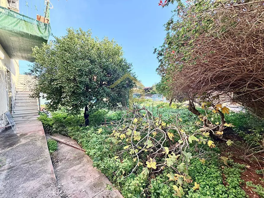 Immagine 23 di Villa in vendita  in Contrada Pozzillo snc a Cinisi