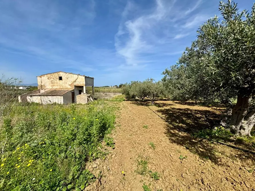 Immagine 1 di Rustico / casale in vendita  in Provinciale a Partinico