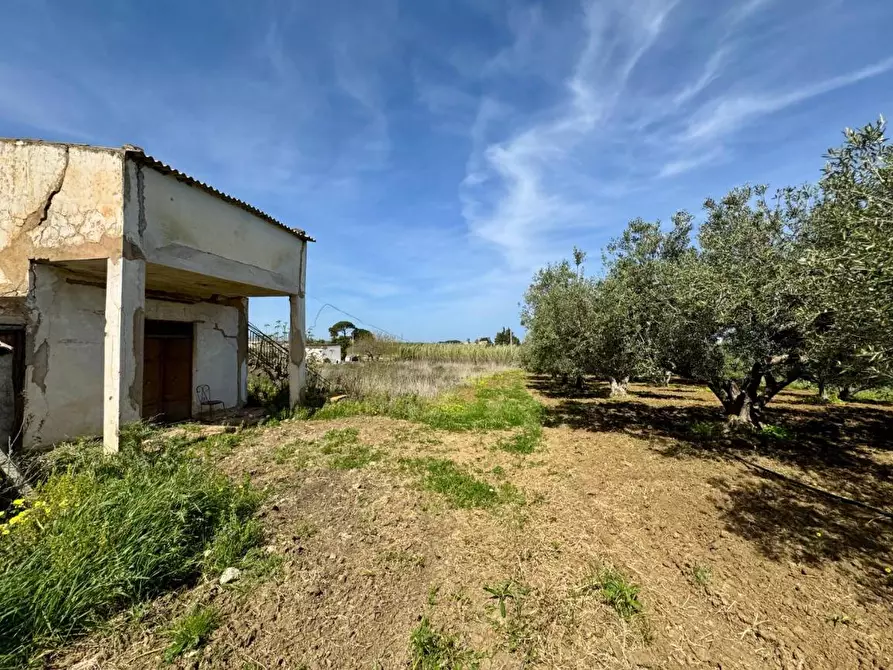 Immagine 3 di Rustico / casale in vendita  in Provinciale a Partinico