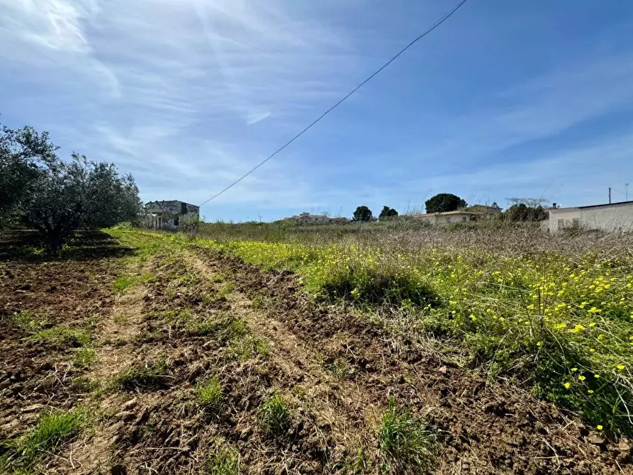 Immagine 8 di Rustico / casale in vendita  in Provinciale a Partinico