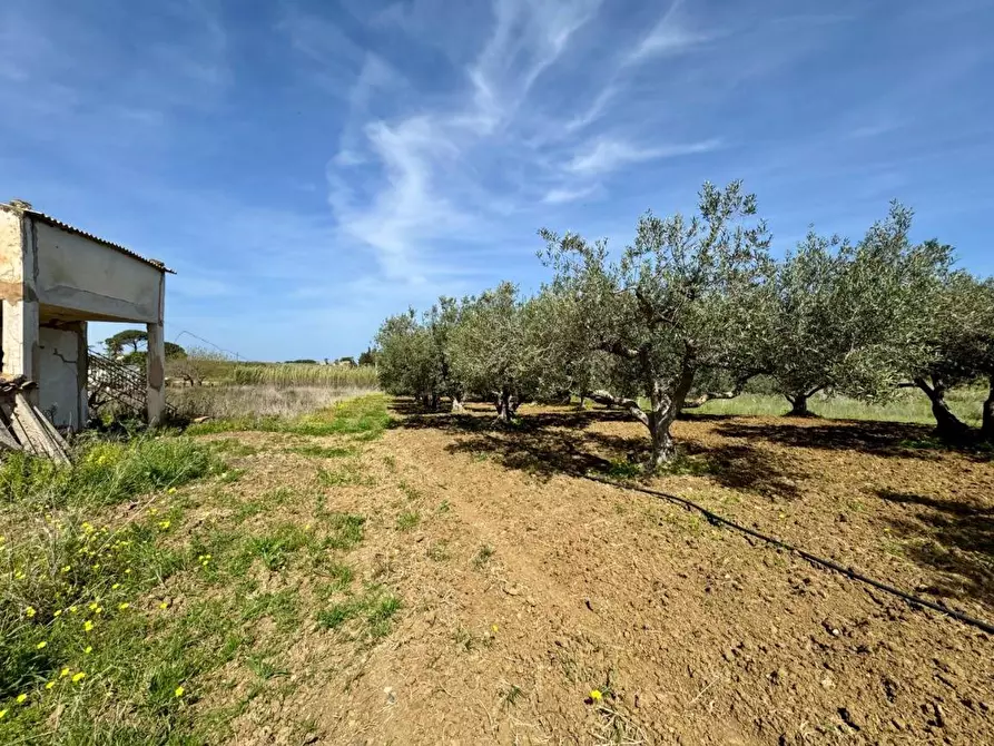 Immagine 10 di Rustico / casale in vendita  in Provinciale a Partinico