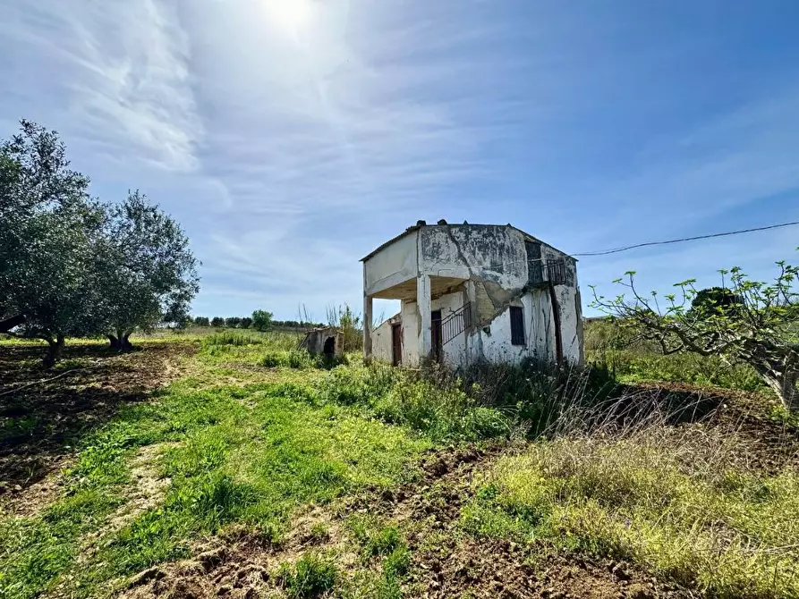 Immagine 13 di Rustico / casale in vendita  in Provinciale a Partinico