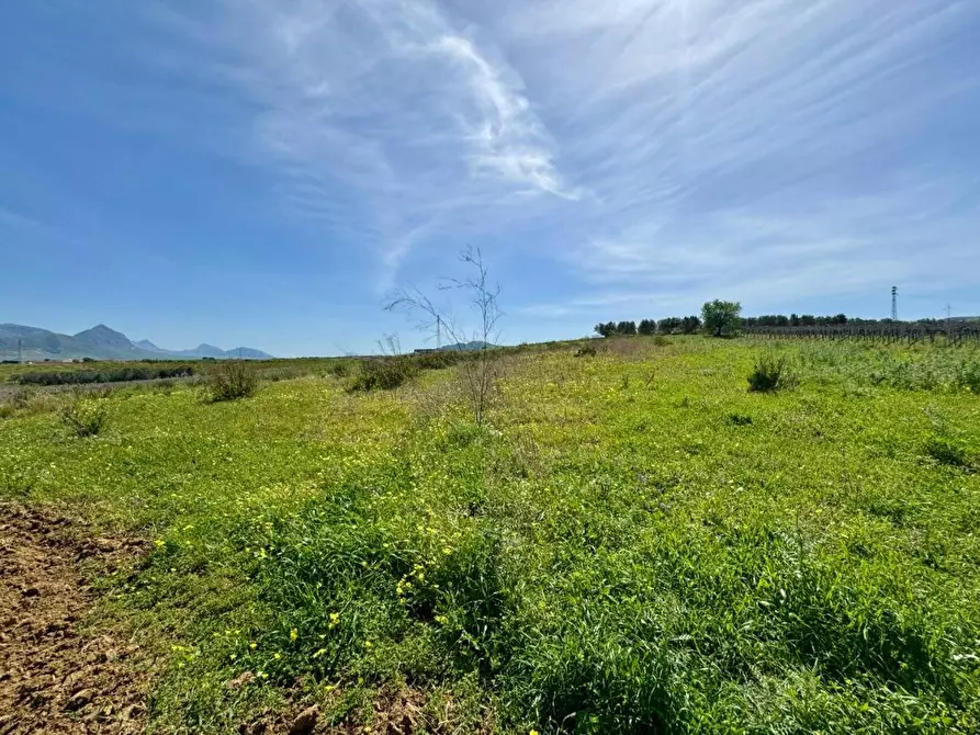 Immagine 19 di Rustico / casale in vendita  in Provinciale a Partinico