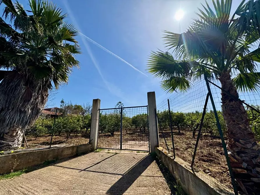 Immagine 1 di Terreno agricolo in vendita  in Contrada San Giuseppe a Partinico