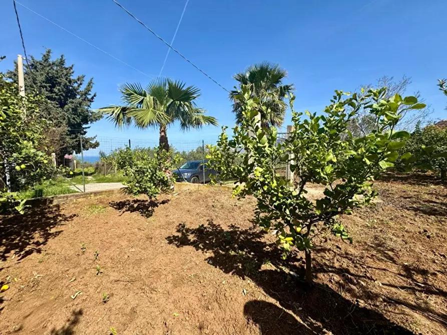 Immagine 2 di Terreno agricolo in vendita  in Contrada San Giuseppe a Partinico