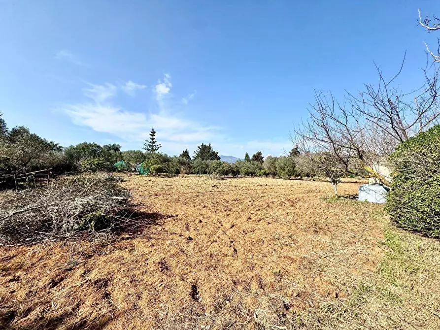 Immagine 9 di Villa in vendita  in Contrada Bosco falconeria a Partinico