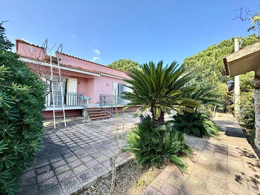 Immagine 17 di Villa in vendita  in Contrada Bosco falconeria a Partinico