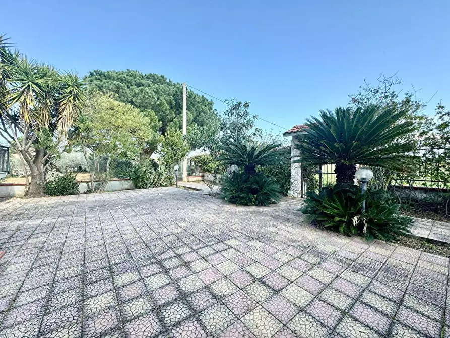 Immagine 23 di Villa in vendita  in Contrada Bosco falconeria a Partinico