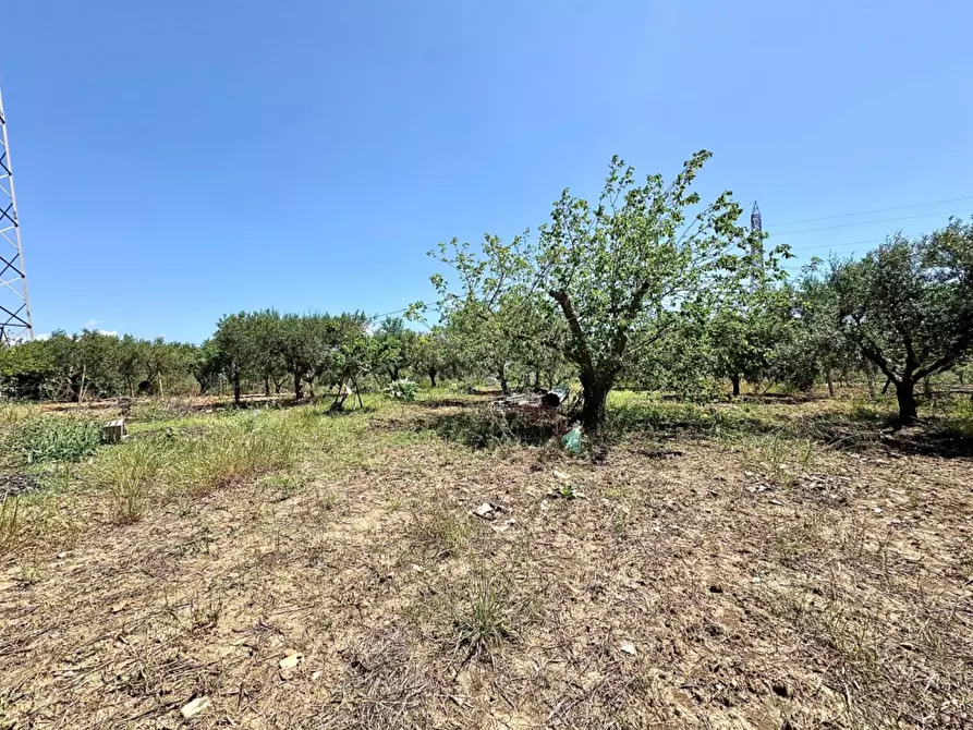 Immagine 3 di Villa in vendita  in Bosco Falconeria sic a Partinico