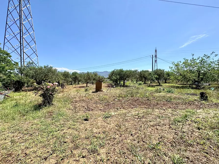 Immagine 17 di Villa in vendita  in Bosco Falconeria sic a Partinico