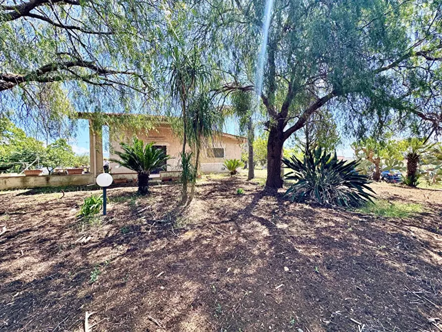 Immagine 21 di Villa in vendita  in Bosco Falconeria sic a Partinico