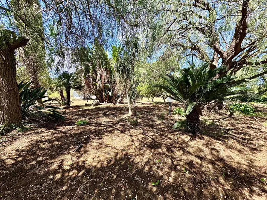 Immagine 22 di Villa in vendita  in Bosco Falconeria sic a Partinico