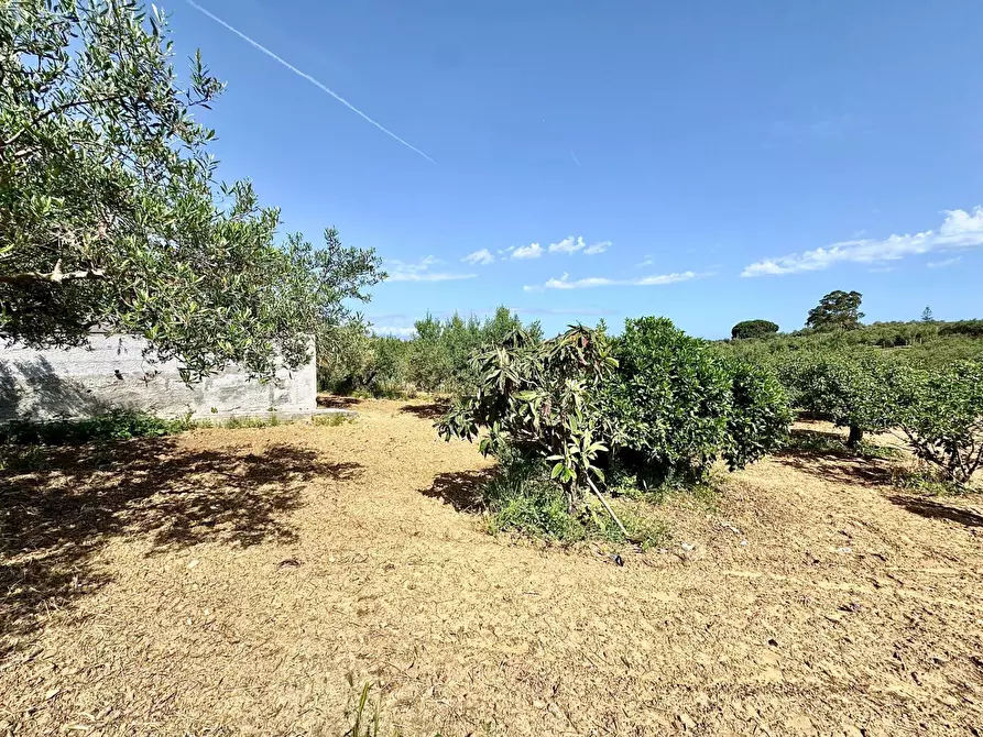 Immagine 7 di Villa in vendita  in Contrada Bosco Falconeria SNC a Partinico