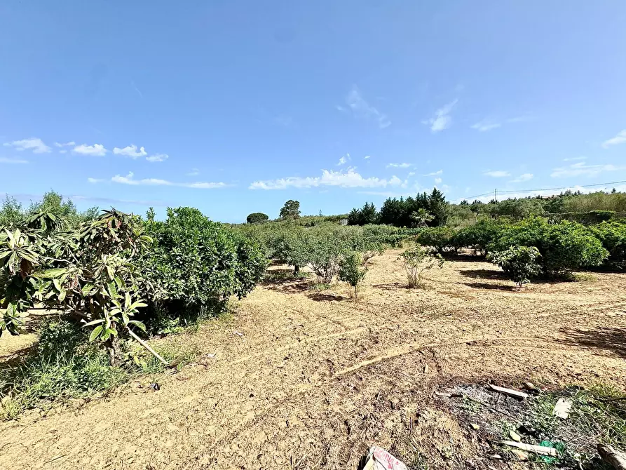 Immagine 8 di Villa in vendita  in Contrada Bosco Falconeria SNC a Partinico