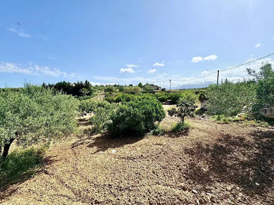Immagine 17 di Villa in vendita  in Contrada Bosco Falconeria SNC a Partinico